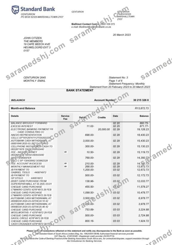 USA Standard Bank statement Word and PDF template, 6 pages